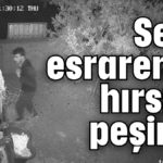 Serik esrarengiz hırsızın peşinde