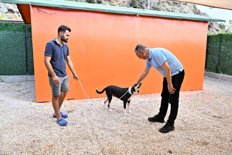 Sokak hayvanlarıyla ilgili yasada denge sağlanmalı