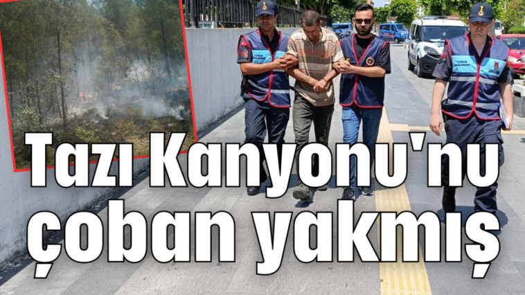 Tazı Kanyonu'nu çoban yakmış