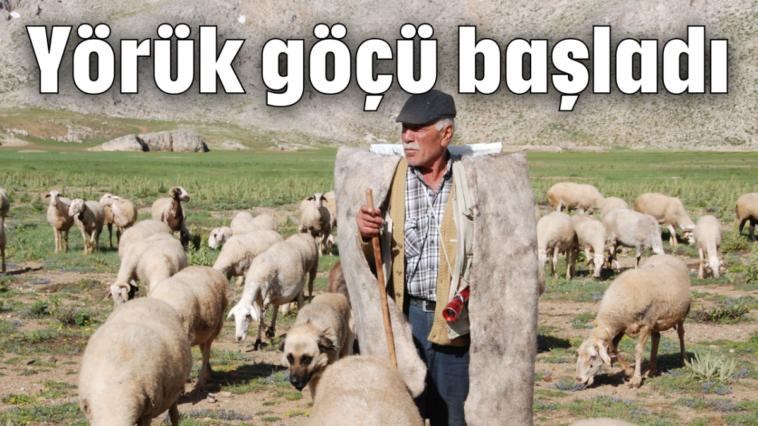 Yörük göçü başladı