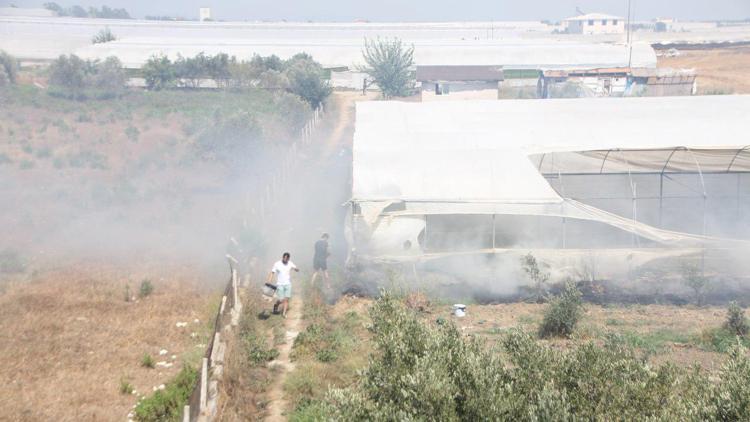 Otlukta başlayan yangın ormana ve seralara zarar verdi