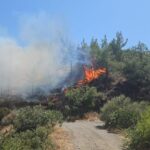 Antalya, Balıkesir ve Hatay’da orman yangını