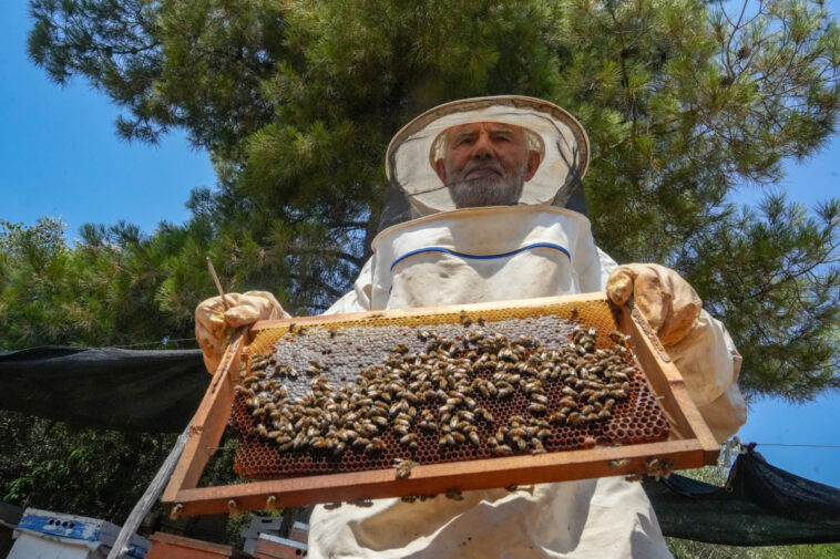 75 yaşında arıcılığa başladı