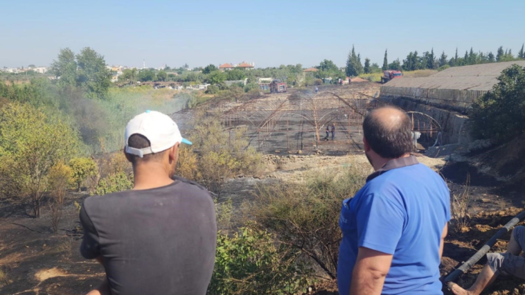 Aksu'daki yangında seralar zarar gördü