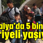 Antalya'da 5 bin 763 Suriyeli yaşıyor