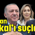 Bakan Çokal’ı suçladı