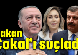 Bakan Çokal’ı suçladı