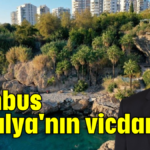 Bambus Antalya'nın vicdanıdır