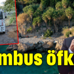 Bambus öfkesi