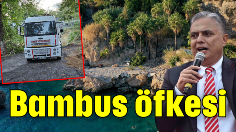 Bambus öfkesi