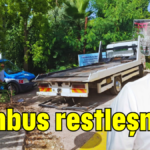 Bambus restleşmesi