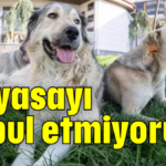 Bu yasayı kabul etmiyoruz!