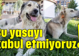 Bu yasayı kabul etmiyoruz!