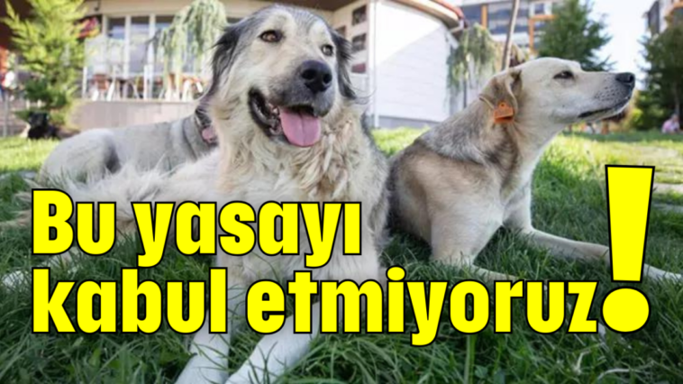 Bu yasayı kabul etmiyoruz!