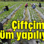 Çiftçimize zulüm yapılıyor