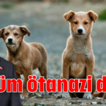 Çözüm ötanazi değil