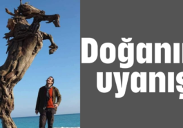 Doğanın uyanışı