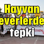 Hayvan severlerden tepki