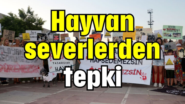 Hayvan severlerden tepki