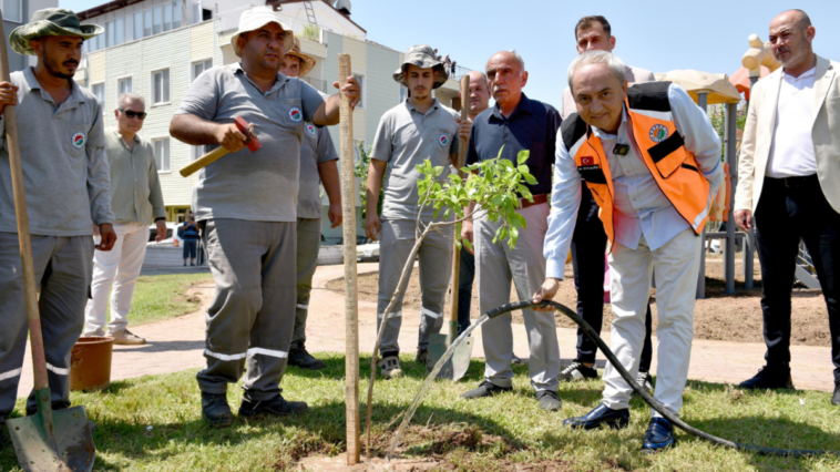 İlk fidanı Kocagöz dikti