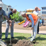 Kepez'de değişim Teomanpaşa ile sürüyor