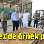 Kepez'de örnek proje