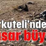 Korkuteli'nde hasar büyük