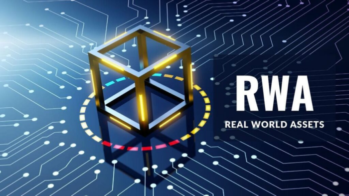 RWA coinlerin geleceği için ne diyor