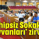 'Sahipsiz Sokak Hayvanları' zirvesi