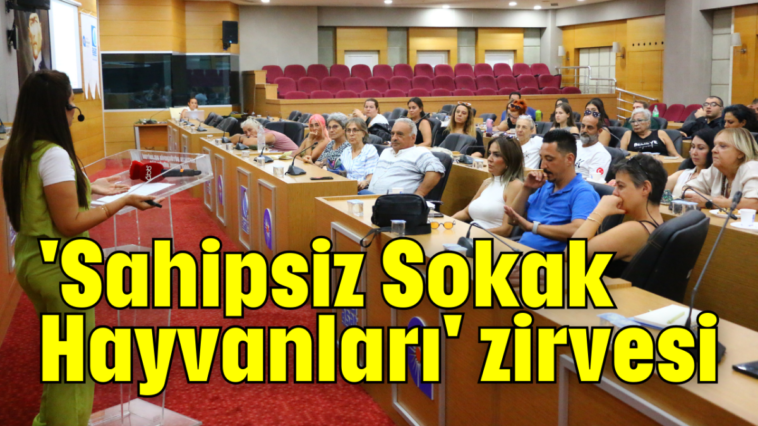 'Sahipsiz Sokak Hayvanları' zirvesi