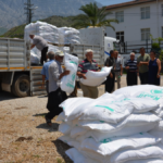 Sebze ve meyveler güneş yanığından kurtarılıyor