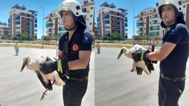 Serik'te ayağı kırılan leyleği itfaiye kurtardı