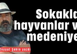 Sokaklar, hayvanlar ve medeniyet