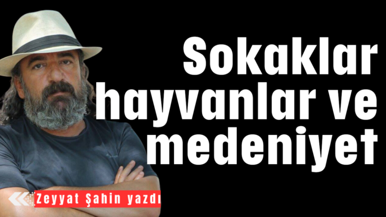 Sokaklar, hayvanlar ve medeniyet