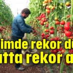 Üretimde rekor düşüş fiyatta rekor artış