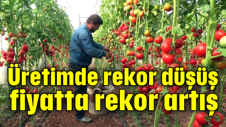 Üretimde rekor düşüş fiyatta rekor artış