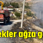 Yürekler ağza geldi!