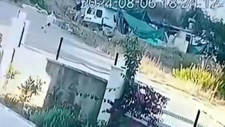 Zincirini kıran köpeğin kendisine taş atan çocuğa saldırı anı kamerada