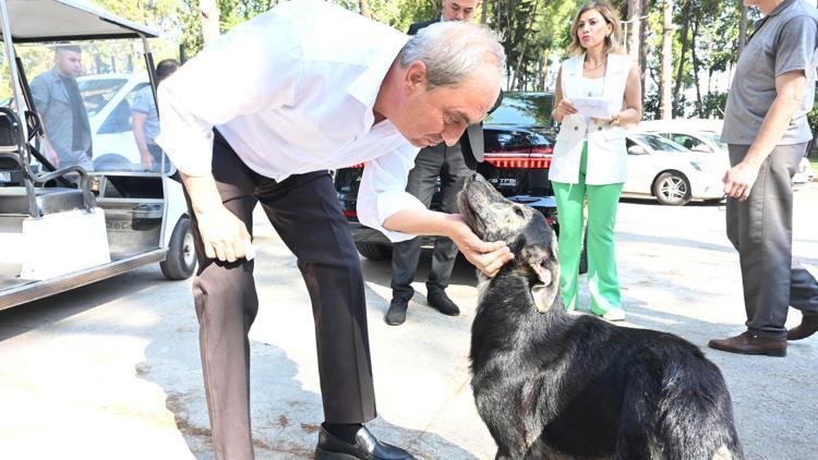 Başkan Kocagöz: Köpek yakıldı iddiaları asılsız