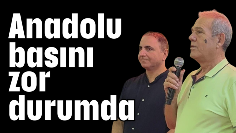 Anadolu basını zor durumda