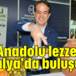 Anadolu lezzetleri Antalya'da buluşuyor