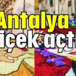 Antalya çiçek açtı