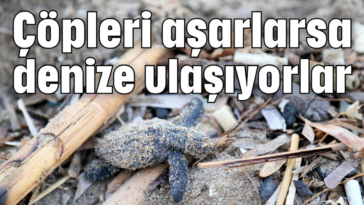 Çöpleri aşarlarsa denize ulaşıyorlar