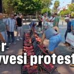 Ejder meyvesi protestosu