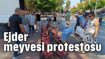 Ejder meyvesi protestosu