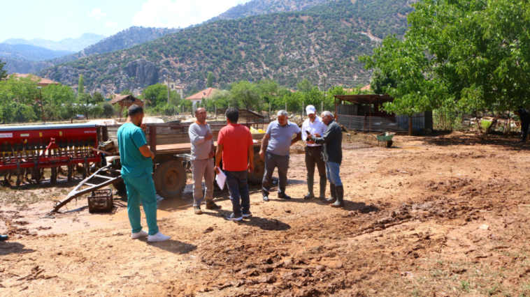 Elmalı'da hasar tespiti yapıldı