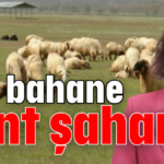 GES bahane rant şahane!