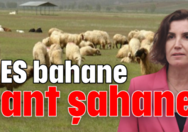 GES bahane rant şahane!