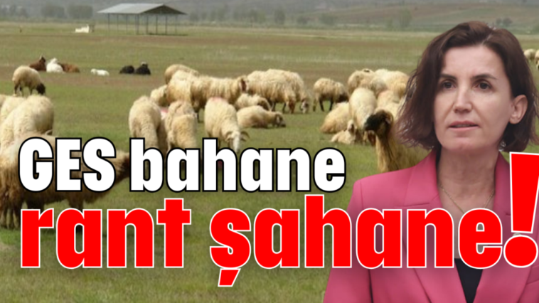 GES bahane rant şahane!