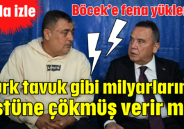 Gurk tavuk gibi milyarların üstüne çökmüş verir mi?